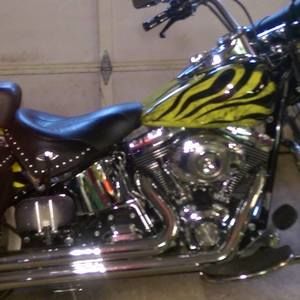 Meet your Posher, Shane